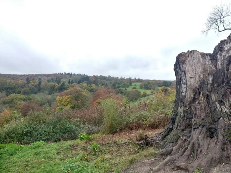 Self-care in the Autumn/Winter months – the power of nature Read more at Relate Mid and East Surrey