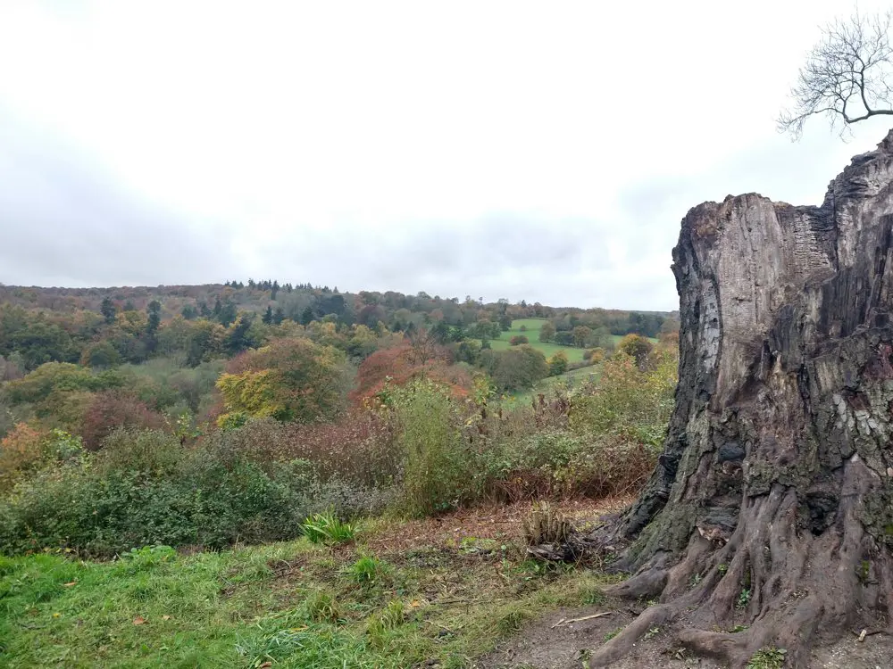 Self-care in the Autumn/Winter months – the power of nature Read more at Relate Mid and East Surrey