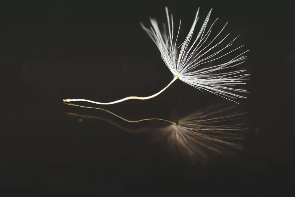 relate mid easy surey - news