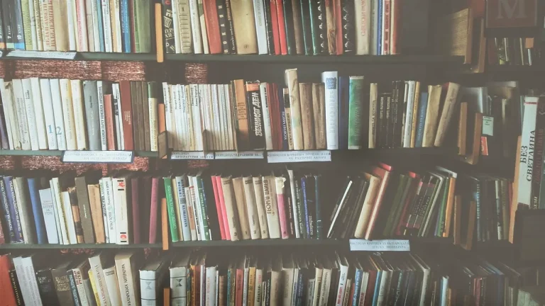 Bookshelf-world_book-day